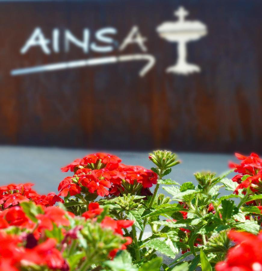Guest House Ainsa Pirineos Εξωτερικό φωτογραφία